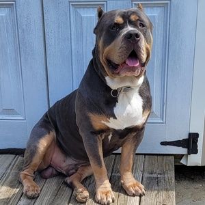 Meet your Posher, Greg